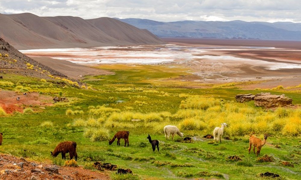 Que Visitar - Turismo Antofagasta de la Sierra